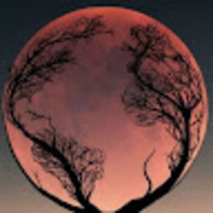 Meet your Posher, Galactic